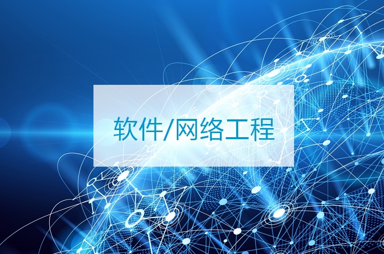軟件/網(wǎng)絡(luò)工程